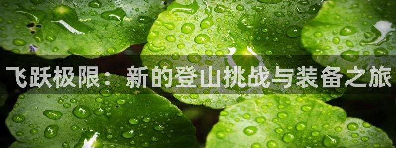 凯捷体育招商电话号码是多少：飞跃极限：新的登山挑战与