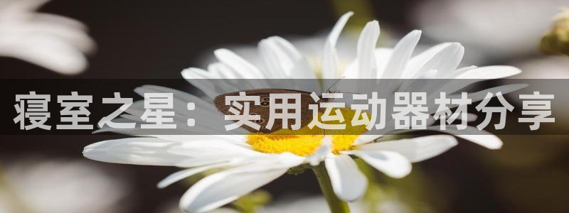 凯捷体育娱乐是那个系列的台子：寝室之星：实用运动器材