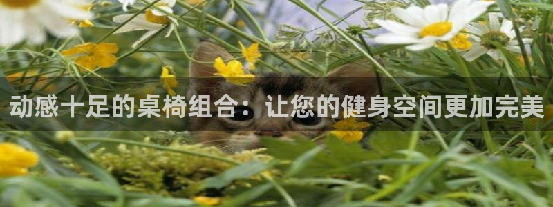 凯捷体育平台注册要钱吗是真的吗：动感十足的桌椅组合：