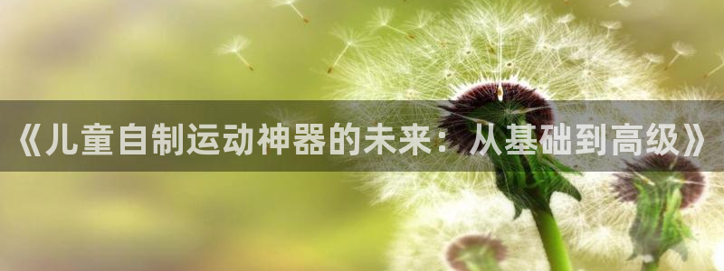 凯捷体育平台：《儿童自制运动神器的未来：从基础到高级