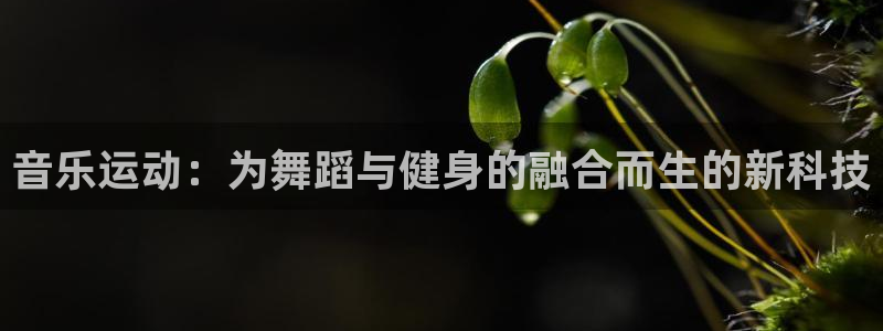 凯捷体育集团logo：音乐运动：为舞蹈与健身的融合而