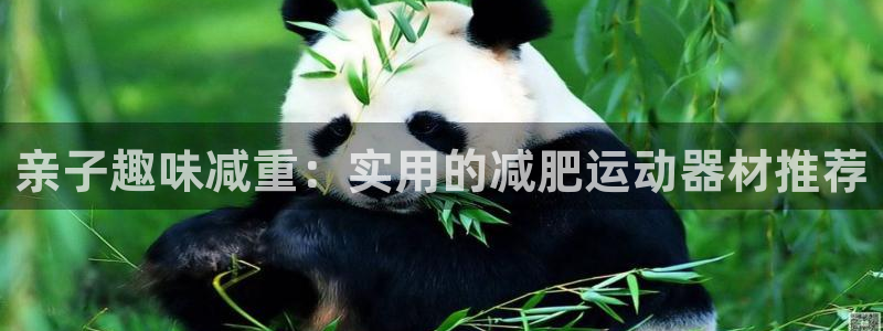 凯捷体育娱乐首页官网下载：亲子趣味减重：实用的减肥运动器材推