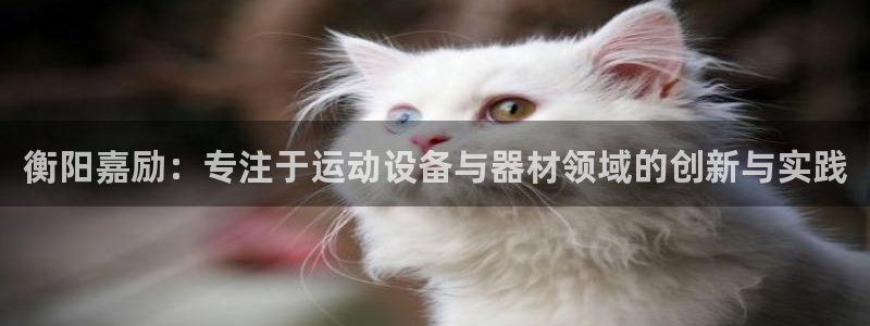 凯捷体育平台注册流程图：衡阳嘉励：专注于运动设备与器