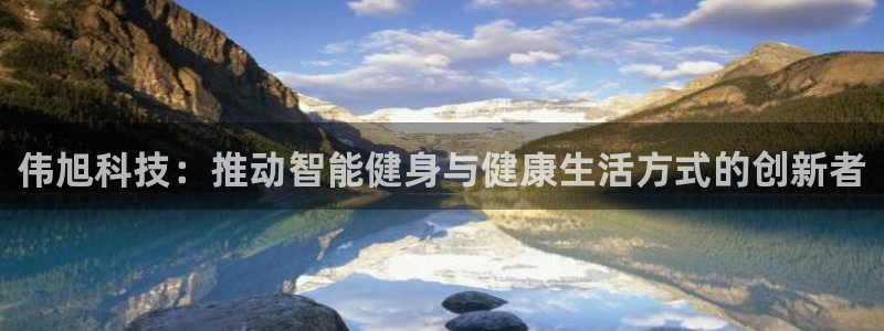 凯捷体育集团E.ON：伟旭科技：推动智能健身与健康生