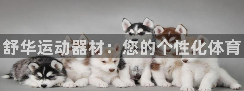 凯捷体育平台APP：舒华运动器材：您的个性化体育