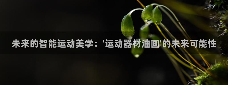 凯捷体育软件：未来的智能运动美学：\'运动器材油画\