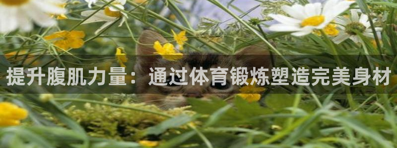 凯捷体育集团E.ON：提升腹肌力量：通过体育锻炼塑造