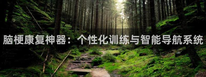 凯捷体育联系电话：脑梗康复神器：个性化训练与智能导航