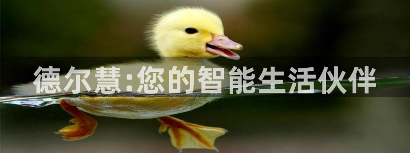 凯捷体育平台APP：德尔慧:您的智能生活伙伴