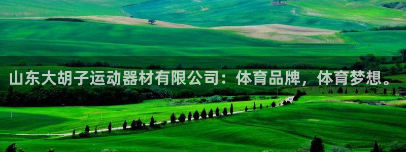 凯捷体育平台是正规平台吗安全吗：山东大胡子运动器材有限公司：