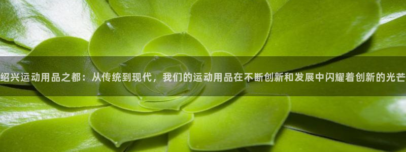凯捷体育官方：绍兴运动用品之都：从传统到现代，我们的