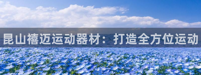 凯捷体育是干嘛的公司