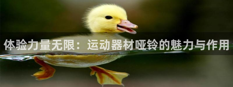 凯捷体育新能源：体验力量无限：运动器材哑铃的魅力与作