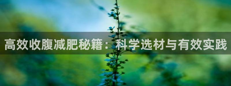 凯捷体育注册：高效收腹减肥秘籍：科学选材与有效实践