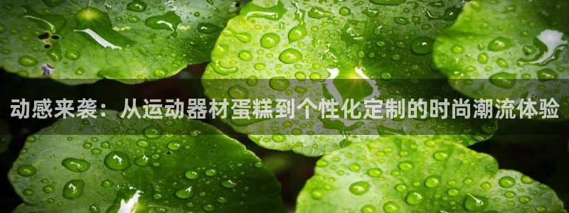 凯捷体育招商电话号码：动感来袭：从运动器材蛋糕到个性
