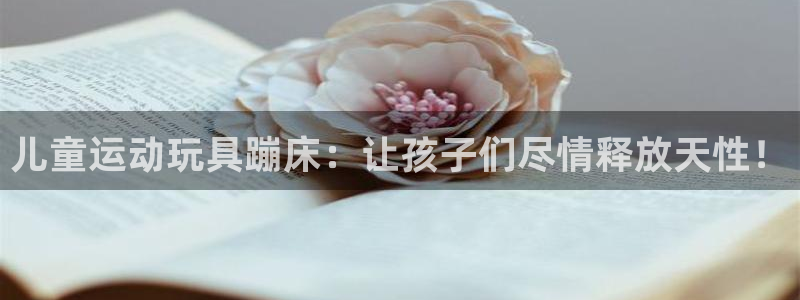 凯捷体育招商电话号码：儿童运动玩具蹦床：让孩子们尽情