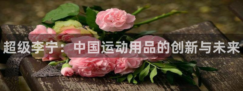 凯捷体育平台注册流程视频：超级李宁：中国运动用品的创