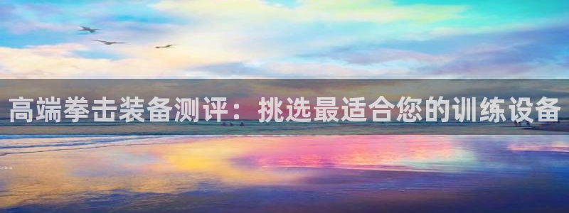 凯捷体育软件：高端拳击装备测评：挑选最适合您的训练设