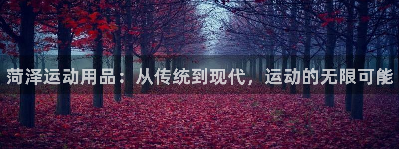 凯捷体育是干嘛的公司：菏泽运动用品：从传统到现代，运