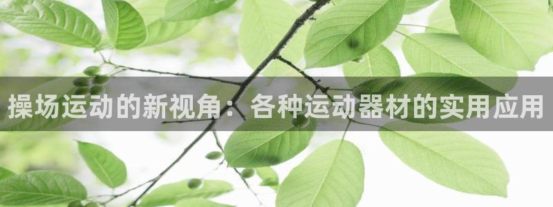 凯捷体育招商电话号码查询