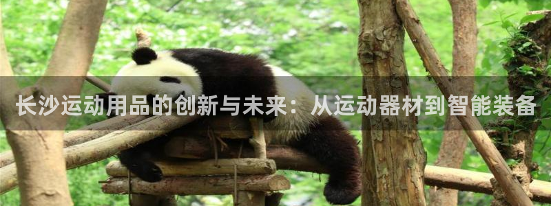 凯捷体育娱乐