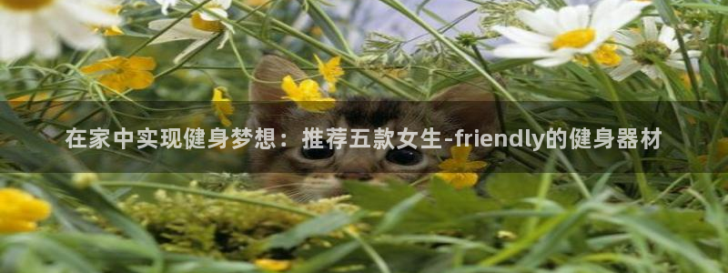 海南凯捷体育发展怎么样:在家中实现健身梦想:推荐五款女生-f