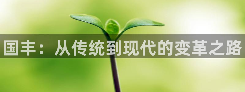 凯捷体育开户