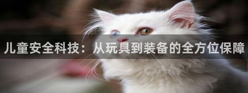 凯捷体育开户:儿童安全科技:从玩具到装备的全方位保障