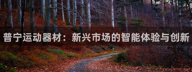凯捷体育平台APP