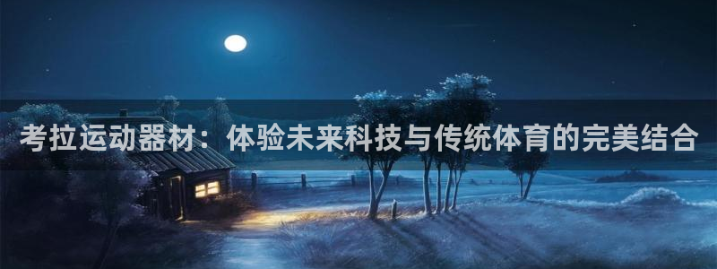 凯捷体育集团官网网址：考拉运动器材：体验未来科技与传统体育的