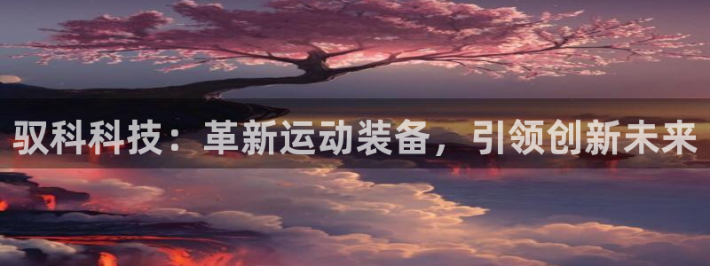 凯捷体育平台注册流程图：驭科科技：革新运动装备，引领创新未来