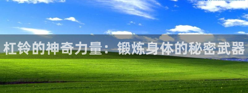 凯捷体育平台注册流程图:杠铃的神奇力量:锻炼身体的秘密武器